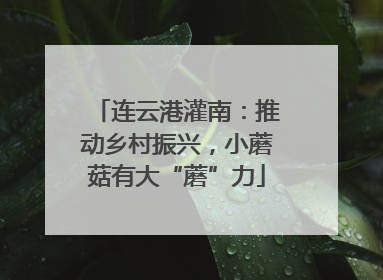 连云港灌南：推动乡村振兴，小蘑菇有大“蘑”力