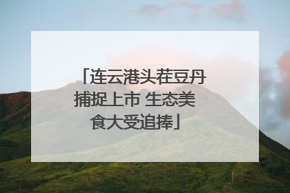 连云港头茬豆丹捕捉上市 生态美食大受追捧