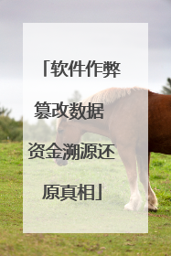 软件作弊篡改数据 资金溯源还原真相