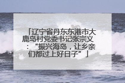 辽宁省丹东东港市大鹿岛村党委书记张宗义：“振兴海岛，让乡亲们都过上好日子”