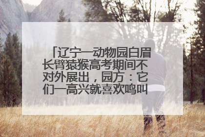 辽宁一动物园白眉长臂猿猴高考期间不对外展出，园方：它们一高兴就喜欢鸣叫，怕影响考试