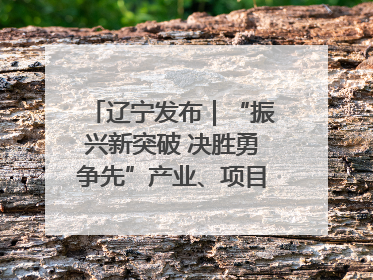 辽宁发布｜“振兴新突破 决胜勇争先”产业、项目、民生齐发力 葫芦岛按下决胜之年“加速键”
