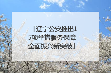 辽宁公安推出15项举措服务保障全面振兴新突破
