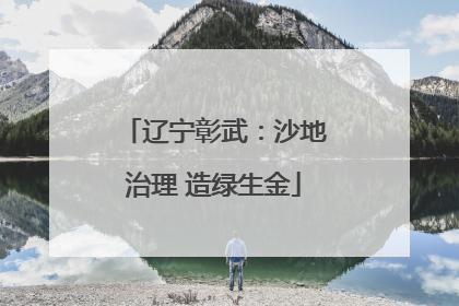 辽宁彰武：沙地治理 造绿生金