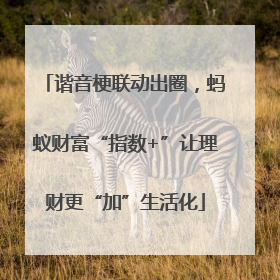 谐音梗联动出圈，蚂蚁财富“指数+”让理财更“加”生活化