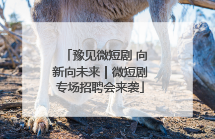 豫见微短剧 向新向未来｜微短剧专场招聘会来袭