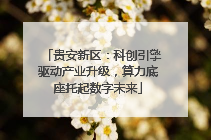 贵安新区：科创引擎驱动产业升级，算力底座托起数字未来