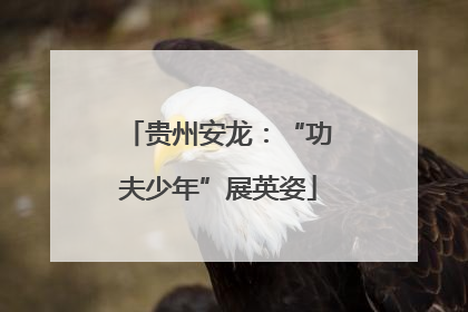 贵州安龙：“功夫少年”展英姿