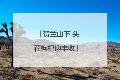 贺兰山下 头茬枸杞迎丰收