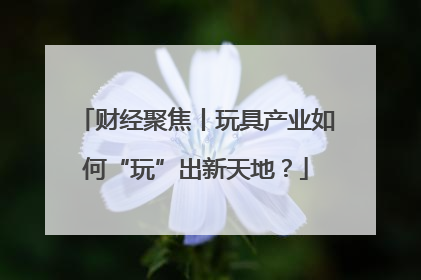财经聚焦丨玩具产业如何“玩”出新天地？