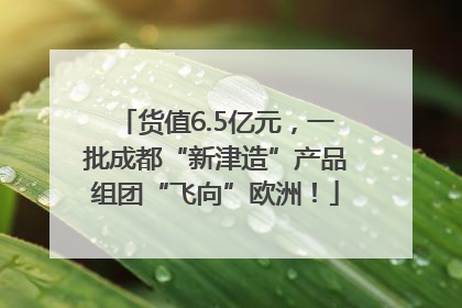 货值6.5亿元，一批成都“新津造”产品组团“飞向”欧洲！