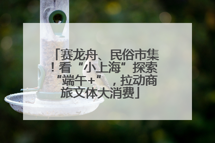 赛龙舟、民俗市集！看“小上海”探索“端午+”，拉动商旅文体大消费
