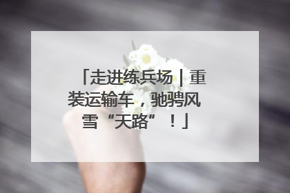 走进练兵场｜重装运输车，驰骋风雪“天路”！