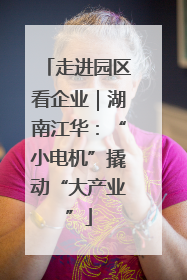 走进园区看企业｜湖南江华：“小电机”撬动“大产业”