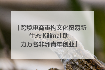 跨境电商重构文化贸易新生态 Kilimall助力万名非洲青年创业