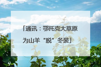 通讯：鄂托克大草原为山羊“脱”冬装