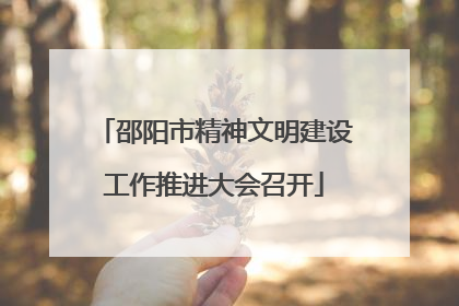 邵阳市精神文明建设工作推进大会召开