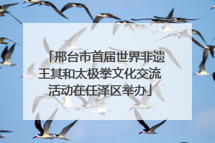 邢台市首届世界非遗王其和太极拳文化交流活动在任泽区举办