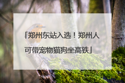 郑州东站入选！郑州人可带宠物猫狗坐高铁