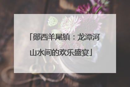 郧西羊尾镇：龙潭河山水间的欢乐盛宴