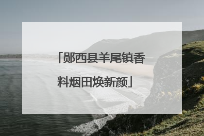 郧西县羊尾镇香料烟田焕新颜