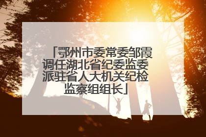 鄂州市委常委邹霞调任湖北省纪委监委派驻省人大机关纪检监察组组长