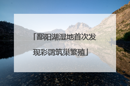 鄱阳湖湿地首次发现彩鹮筑巢繁殖