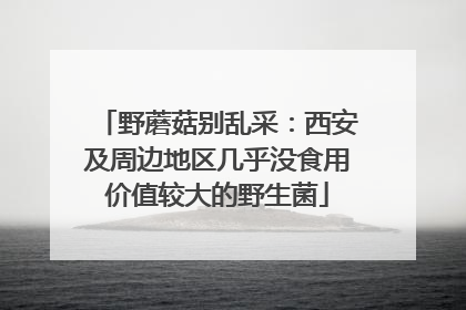 野蘑菇别乱采：西安及周边地区几乎没食用价值较大的野生菌