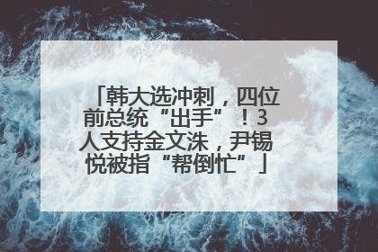 韩大选冲刺，四位前总统“出手”！3人支持金文洙，尹锡悦被指“帮倒忙”