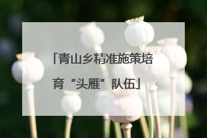 青山乡精准施策培育“头雁”队伍