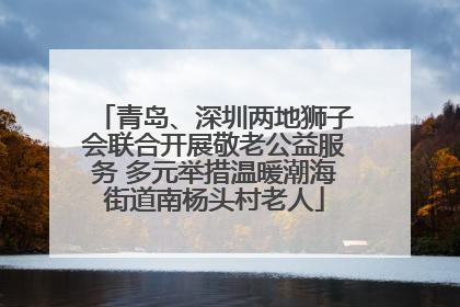 青岛、深圳两地狮子会联合开展敬老公益服务 多元举措温暖潮海街道南杨头村老人