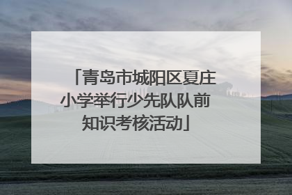 青岛市城阳区夏庄小学举行少先队队前知识考核活动