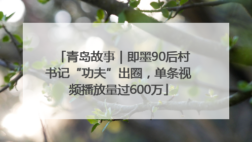 青岛故事｜即墨90后村书记“功夫”出圈，单条视频播放量过600万