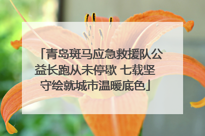 青岛斑马应急救援队公益长跑从未停歇 七载坚守绘就城市温暖底色