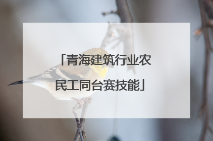 青海建筑行业农民工同台赛技能