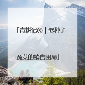 青耕记③｜老种子蔬菜的销售困局