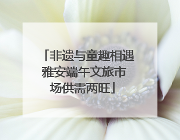 非遗与童趣相遇 雅安端午文旅市场供需两旺