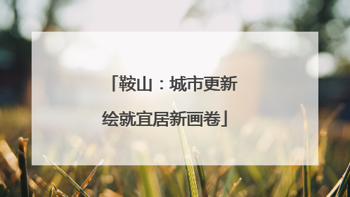 鞍山：城市更新绘就宜居新画卷