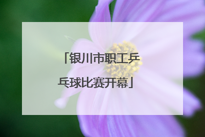 银川市职工乒乓球比赛开幕