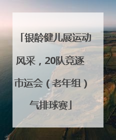 银龄健儿展运动风采，20队竞逐市运会（老年组）气排球赛