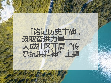 铭记历史丰碑，汲取奋进力量——大成社区开展“传承抗洪精神”主题党日活动