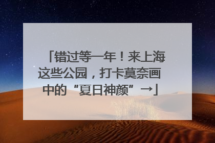 错过等一年！来上海这些公园，打卡莫奈画中的“夏日神颜”→