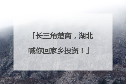 长三角楚商，湖北喊你回家乡投资！
