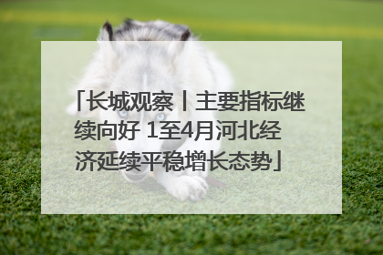 长城观察丨主要指标继续向好 1至4月河北经济延续平稳增长态势