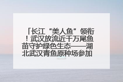 长江“美人鱼”领衔！武汉放流近千万尾鱼苗守护绿色生态——湖北武汉青鱼原种场参加2025年“全国放鱼日”增殖放流活动