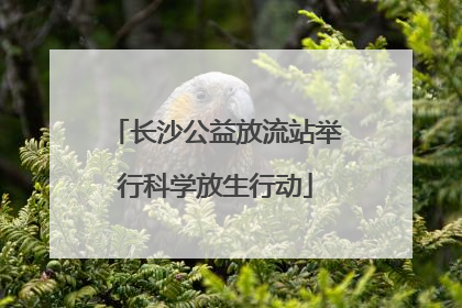 长沙公益放流站举行科学放生行动