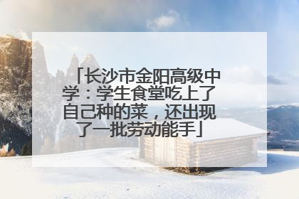 长沙市金阳高级中学：学生食堂吃上了自己种的菜，还出现了一批劳动能手