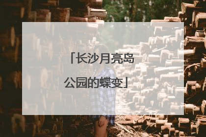 长沙月亮岛公园的蝶变