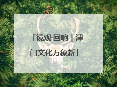镜观·回响｜津门文化万象新