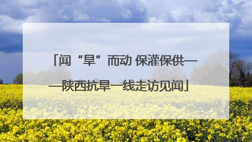 闻“旱”而动 保灌保供——陕西抗旱一线走访见闻